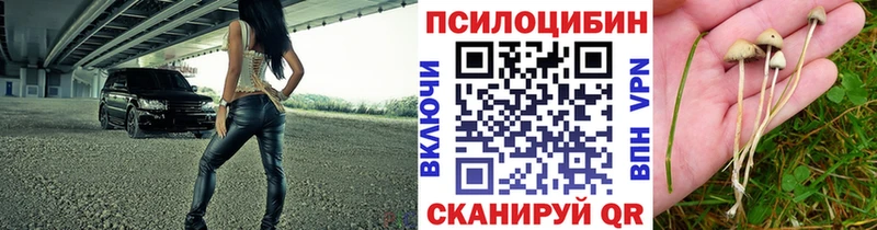 Псилоцибиновые грибы Cubensis  Красноперекопск 